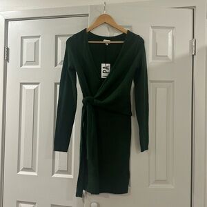 NWT soft green sweater dress